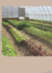 Review report on progress in the implementation of sustainable development commitments related to biotechnology in Africa Review report on progress in the implementation of sustainable development commitments related to biotechnology in Africa