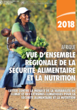 2018 Africa Regional Overview of Food Security and Nutrition Report 2018 Africa Regional Overview of Food Security and Nutrition Report