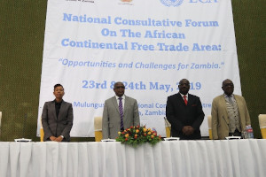 Implementation-AfCFTA