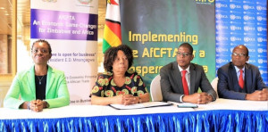 Implementation-AfCFTA