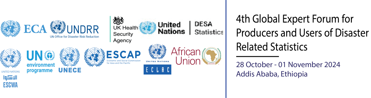10th session of UN-GGIM