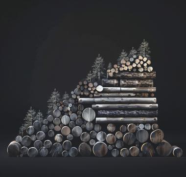 Réunion de cadrage de l’étude sur l’industrialisation durable de la  filière bois en Afrique centrale 