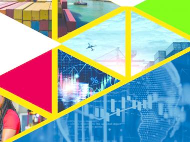 Validation Workshop Step-by-Step Guide for Trading in Goods under the AfCFTA