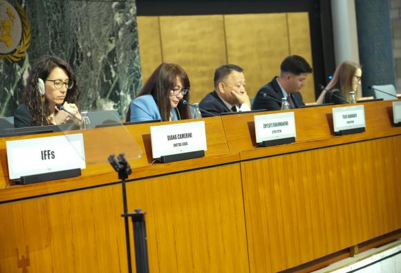 International Close-Out Conference on Measuring and Curbing Illicit Financial Flows (IFFs)
