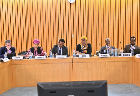 Photos from Day 3 - Institutional investor participation in Ethiopia's capital market