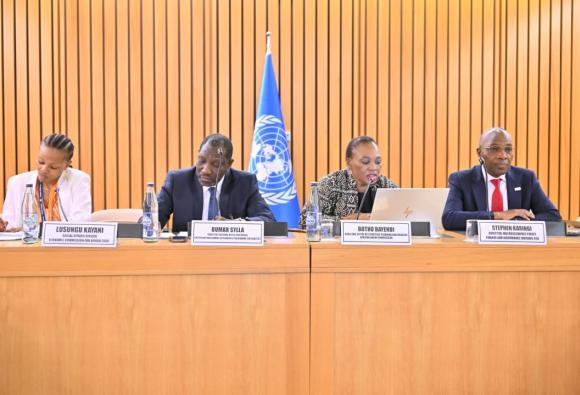 Regional preparatory workshop for African VNR and VLR