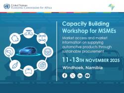 Capacity Building for SMEs on Market Access and Market Information on Supplying Automotive Products through Sustainable Procurement