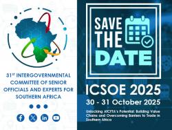 The 31st Meeting of the Intergovernmental Committee of Senior Officials and Experts for Southern Africa