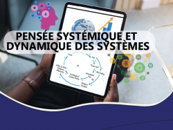 Pensée systémique et dynamique des systèmes