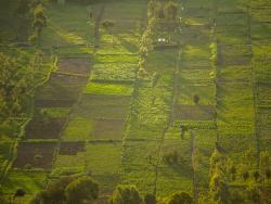 Strengthening Land Governance in Africa”  Review of NELGA