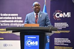 2025 Adebayo Adedeji Memorial Lecture