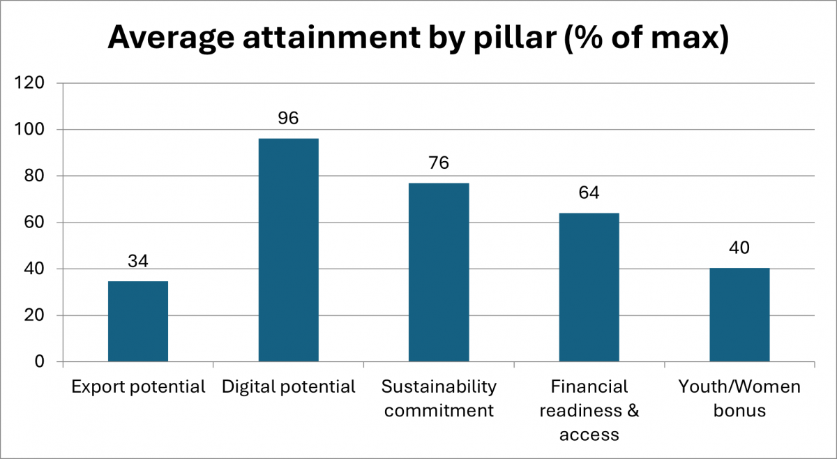 Figure 4: Knowledge Gap Assessment Results for Tunisian SMEs