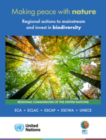 Making peace with nature: regional actions to mainstream and invest in biodiversity