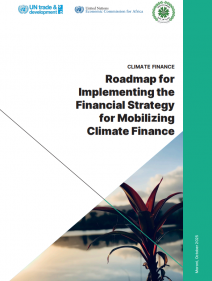 Roadmap for Implementing the Financial Strategy for Mobilizing Climate Finance