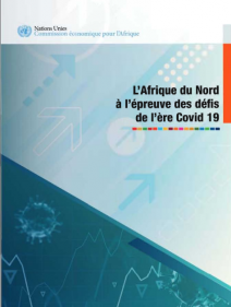 L’Afrique du Nord à l’épreuve des défis de l’ère Covid 19