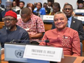 Douzième session du Forum régional africain pour le développement durable (FRADD 12)