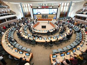 UN Day 2025 - UN80