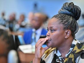 Douzième session du Forum régional africain pour le développement durable (FRADD 12)