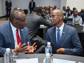 Meeting between the ECA and the Government of Botswana - January 2025