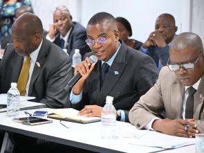 Meeting between the ECA and the Government of Botswana - January 2025