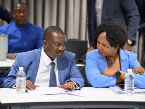 Meeting between the ECA and the Government of Botswana - January 2025