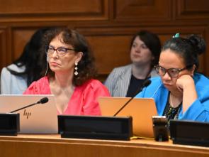 High-Level Political Forum on Sustainable Development 2026 - HLPF2026