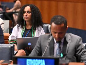 High-Level Political Forum on Sustainable Development 2026 - HLPF2026