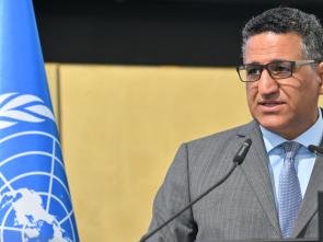 Opening remarks by H.E. Ambassador Amr Aljowaily at the Conference on Land Policy in Africa 