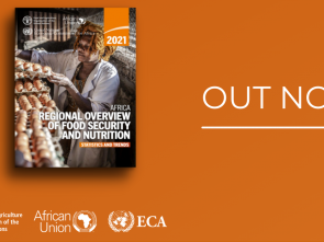 New interactive report shows Africa’s growing hunger crisis