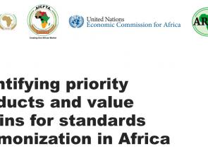 Harmonization of standards across Africa is vital to the realization of trade and industrialization potential of the AfCFTA