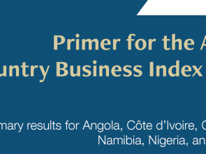 ECA Unveils AfCFTA Country Business Index (ACBI) Report