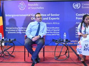 ICSOE 2022 forum underlines the urgent need for accelerated diversification in Central and Eastern Africa