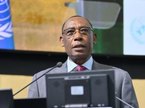 Opening Remark by Oliver Chinganya at the Eleventh Forum on Africa Statistical Development