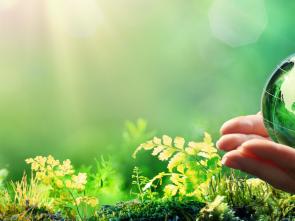 SG's message on World Environment Day