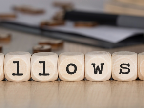Call for the 2024-2025 Fellowship for Young African Professionals