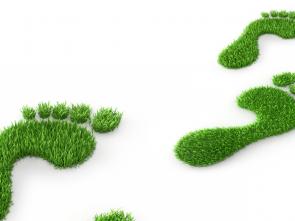 Africa's Workforce at a Crossroads: Navigating Climate Change and the Green Transition