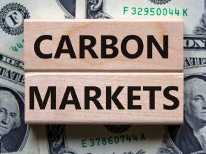 African countries could leverage their vast renewable energy and natural resources to export premium carbon credits for new revenue streams