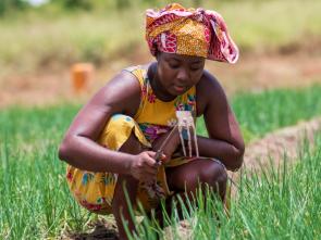Tanzania geared towards policy, institutional and legal reforms to promote gender-responsive land governance