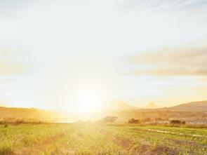 [Blog] We Are the Land, and the Land Is Us