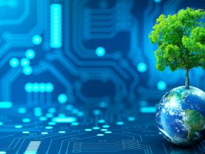 Central Africa needs to enhance sub-regional cooperation to ensure satisfactory appropriation of natural capital accounting as a tool for mobilizing financing for the green economy