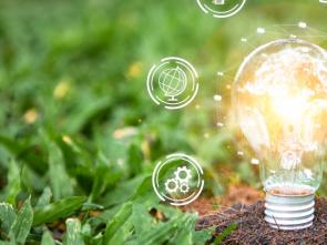 Au-delà des mesures du PIB, des solutions soigneusement conçues et fondées sur la nature pourraient accélérer le développement et l’équité sociale – Antonio Pedro de la CEA