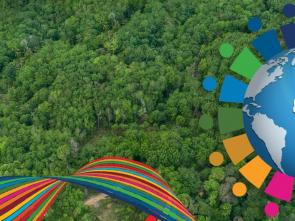 The SDGs have improved millions of lives over the past decade, but progress remains insufficient, UN report finds