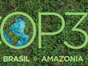 COP30 in Belem must secure Africa’s future and that of humanity