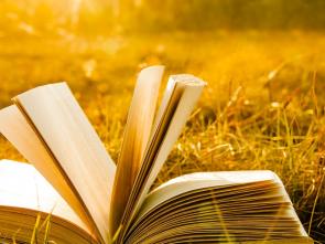 Deadline extended for Call for Short Stories on Land Governance