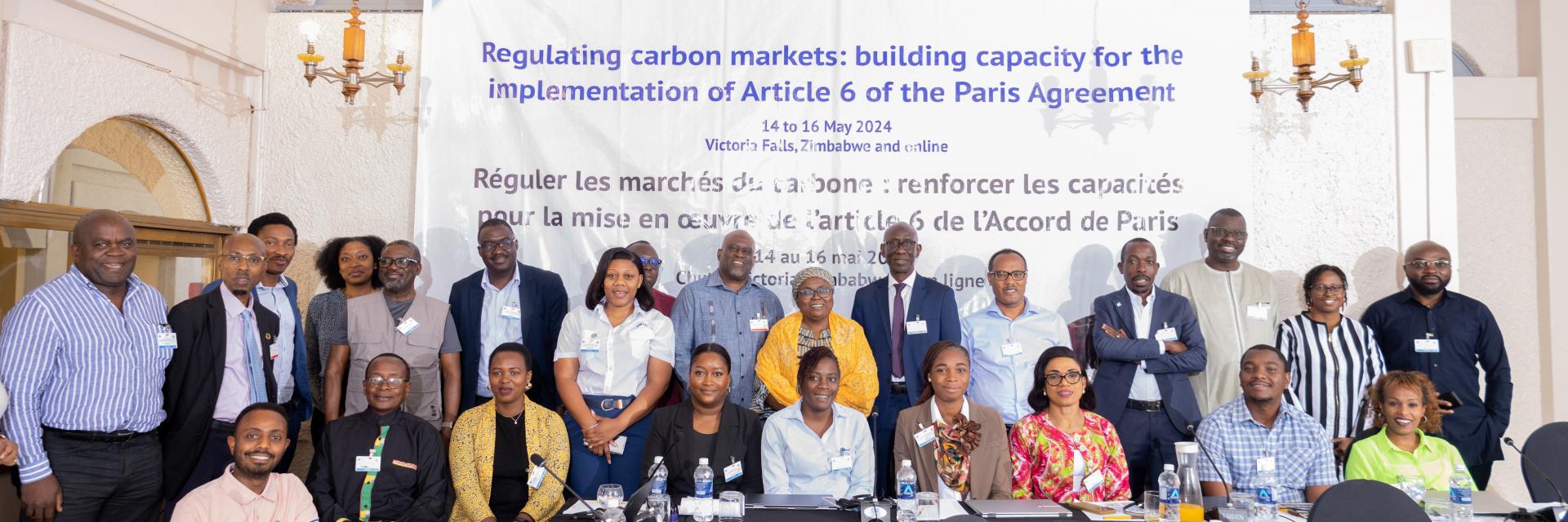 Article 6 Workshop