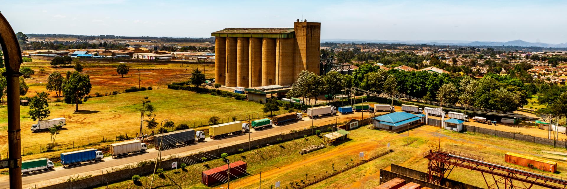 A pathway to greater regional food security through the AfCFTA