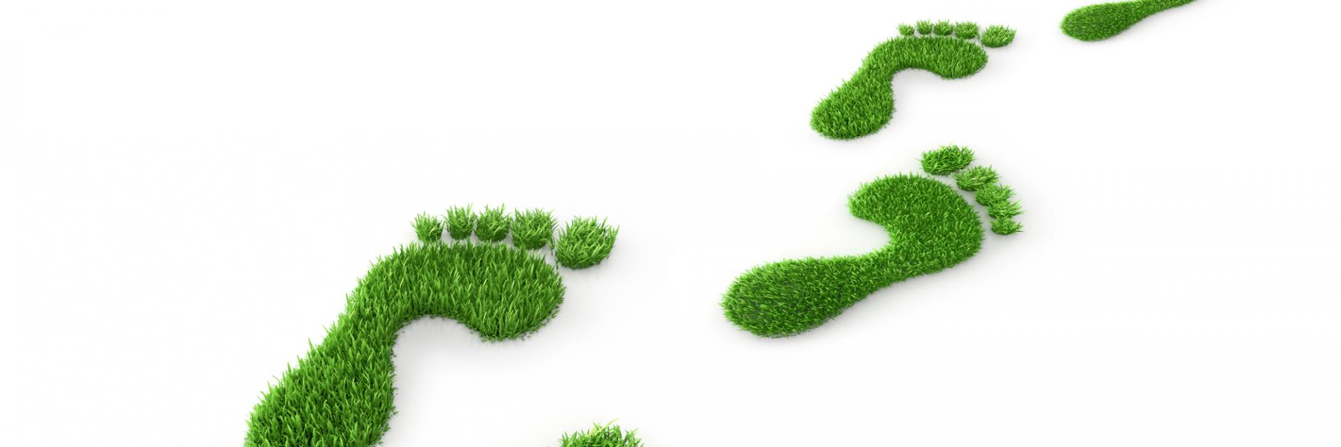 Africa's Workforce at a Crossroads: Navigating Climate Change and the Green Transition