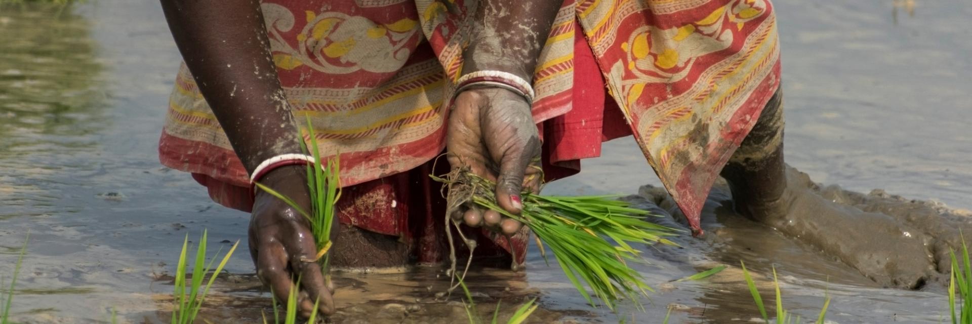 DRC to Mainstream Gender in Draft National Land Policy