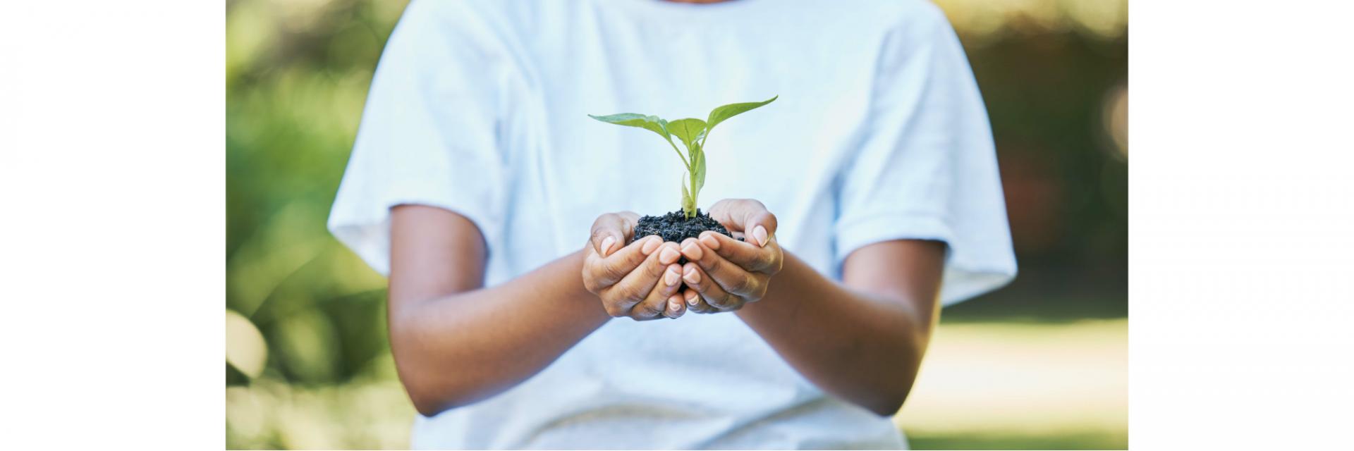 Reviews of national and local SDG progress can help refocus efforts on sustainable development in Africa