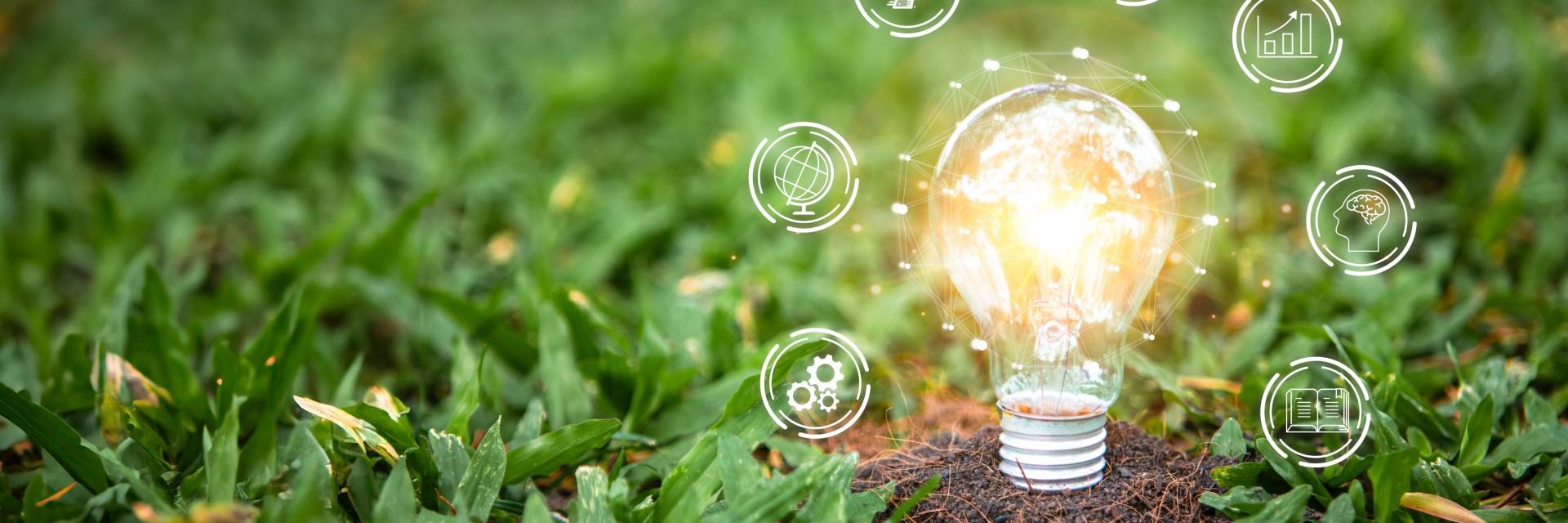 Au-delà des mesures du PIB, des solutions soigneusement conçues et fondées sur la nature pourraient accélérer le développement et l’équité sociale – Antonio Pedro de la CEA